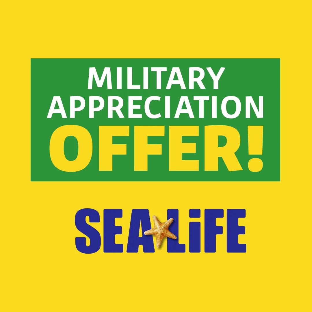 SL Militaryappreciation 1080X1080 Carousel 3