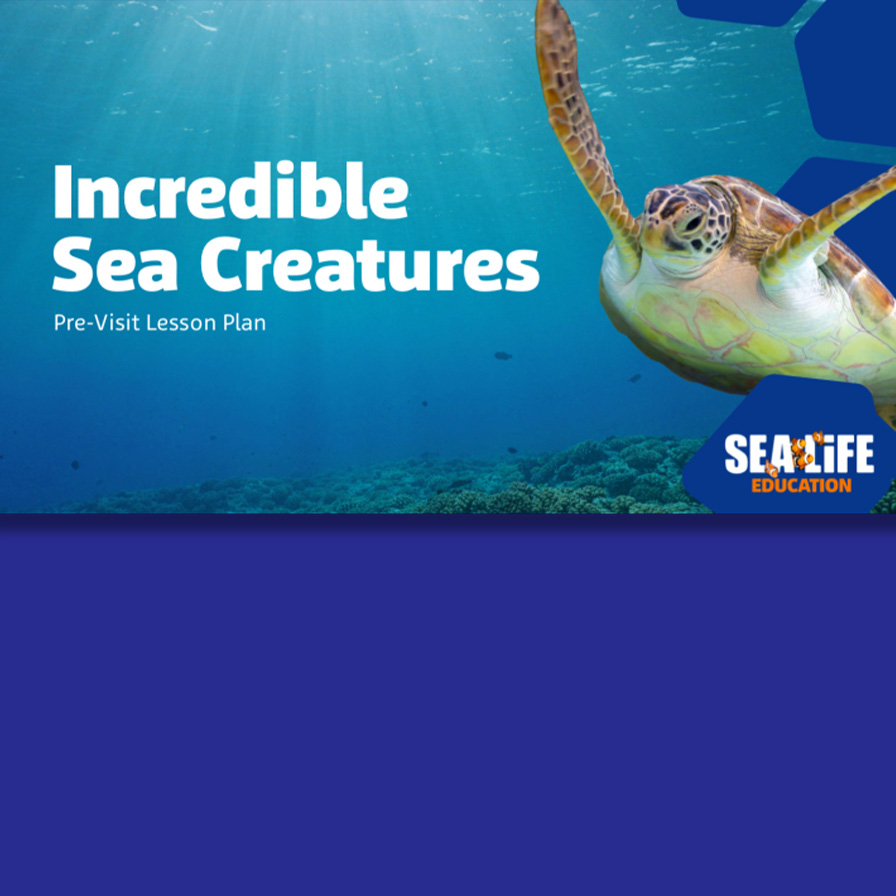 Education Workshops | SEA LIFE at Mall of America