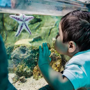 Meet The Creature | SEA LIFE Aquarium
