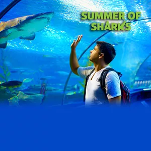 SLMN Summer Of Sharks Whats Inside Page Formatting
