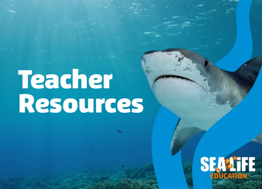 Teacher Resources Web Tile