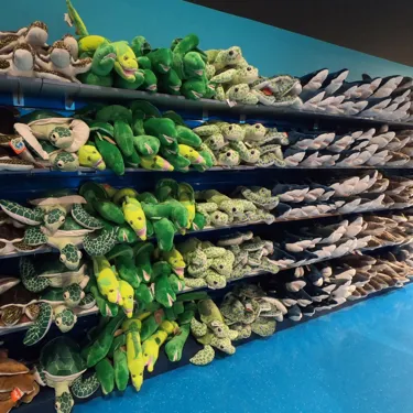 Gift Shop | SEA LIFE Aquarium