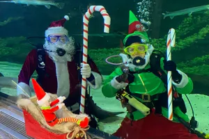 Scuba Claus | SEA LIFE at Mall of America