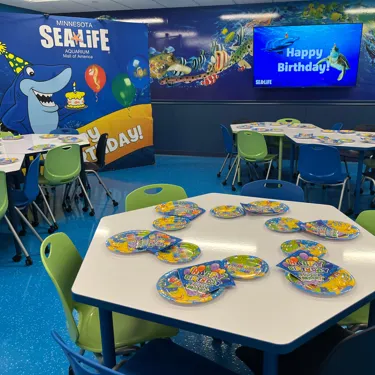 SLMN Party Room 1 1
