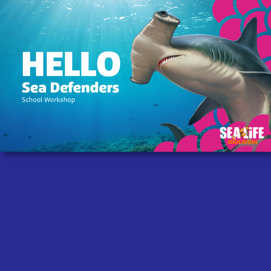 Education Workshops | SEA LIFE at Mall of America