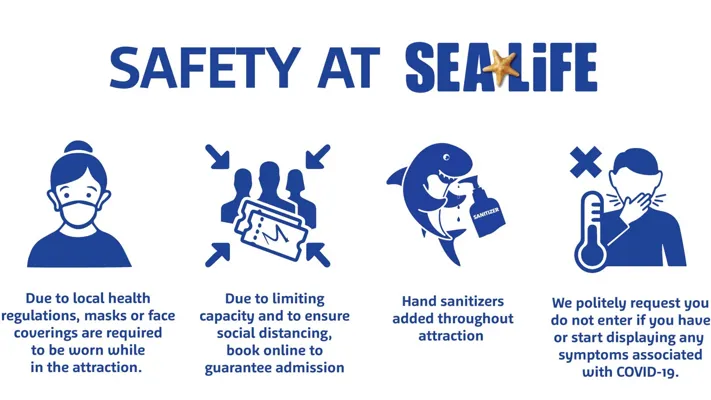 Sea Life Safety Michigan Editable Larger File (1)