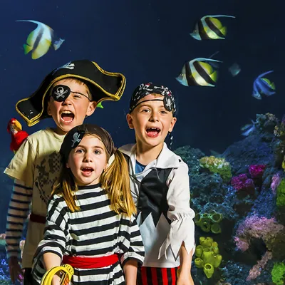 Pirate Party Event Listing Header Square