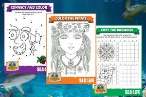 Pirate Treasure Hunt | SEA LIFE at Mall of America