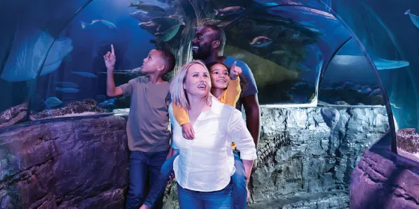 Resident Ticket | SEA LIFE Minnesota