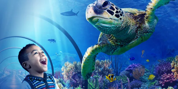 General Admission | SEA LIFE at Mall of America