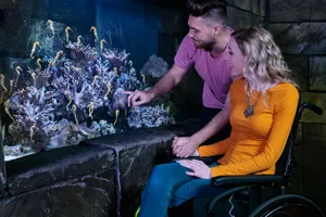 Handicap | SEA LIFE at Mall of America