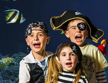 7:5 Three Pirate Children