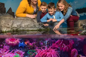 Touchpool | SEA LIFE Aquarium