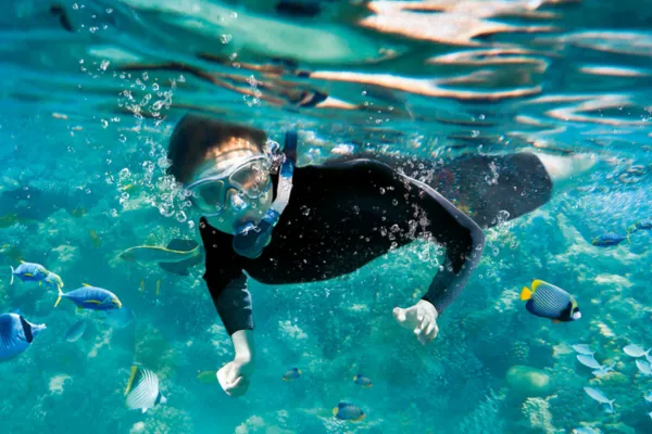 Snorkel (600 X 400 Px)