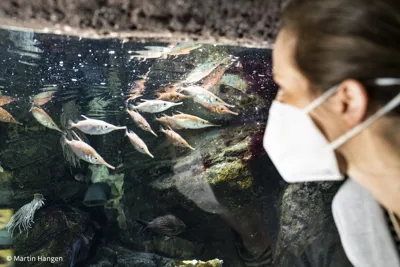 Sealife Eroeffnung 007 Martin Hangen