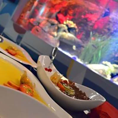 Catering kann im SEA LIFE für Ihre Veranstaltung gebucht werden