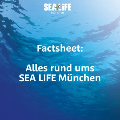 Factsheet SLMUC 2022
