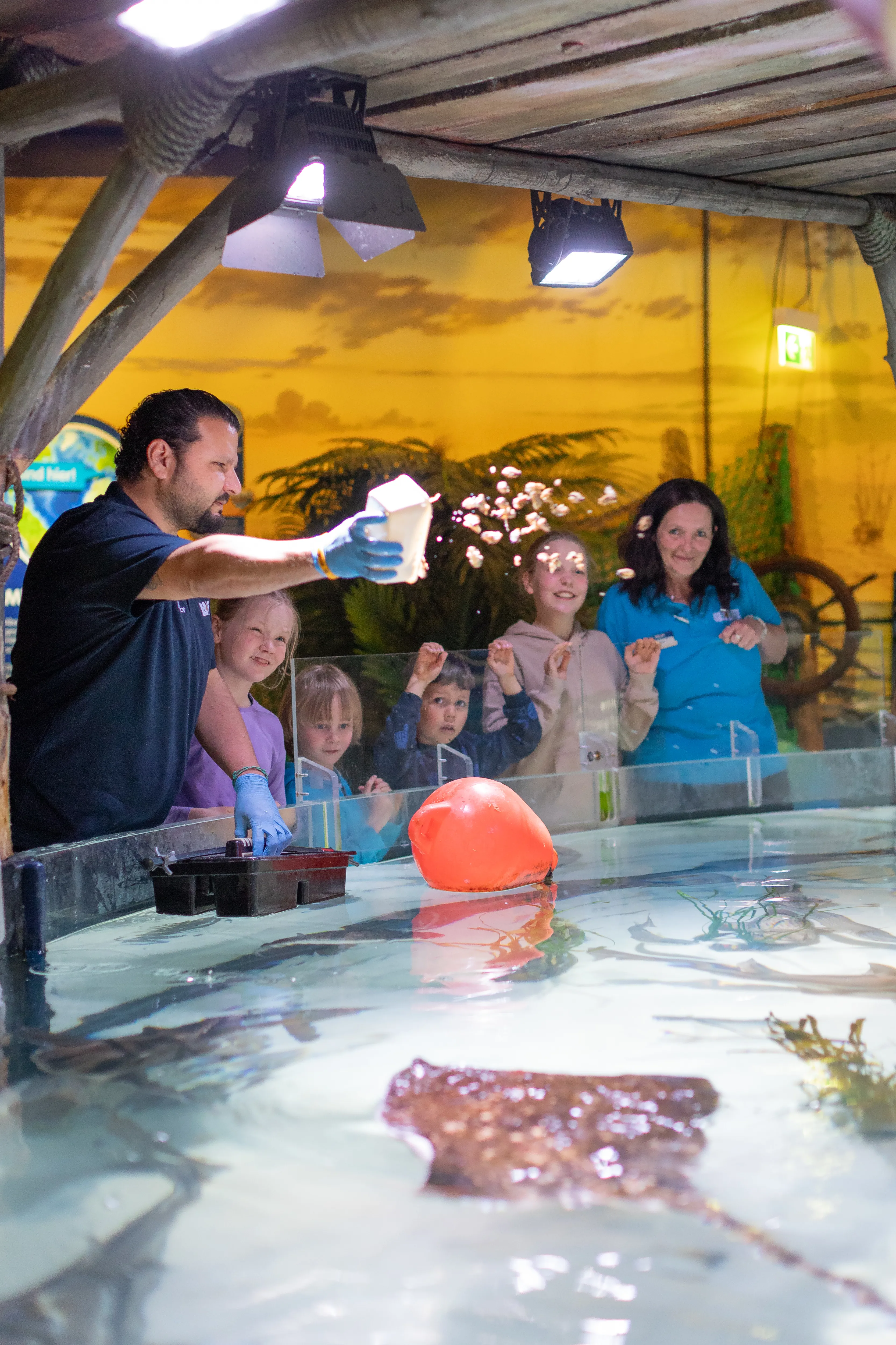 Fütterung Mittelmeerhafen