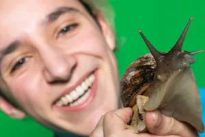 Achatschnecke Insta 1080X1080