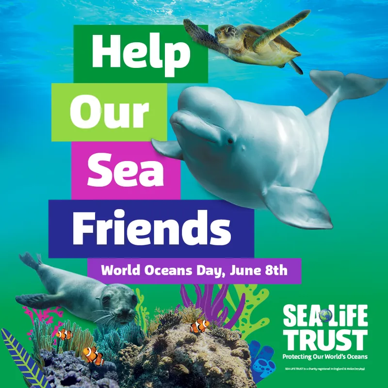 Sea Life Week SEA LIFE Munich | The aquarium directly located in Olympia Park