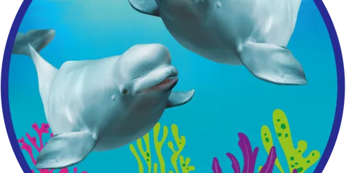 SL Conservation Round Belugas 1000X1000px