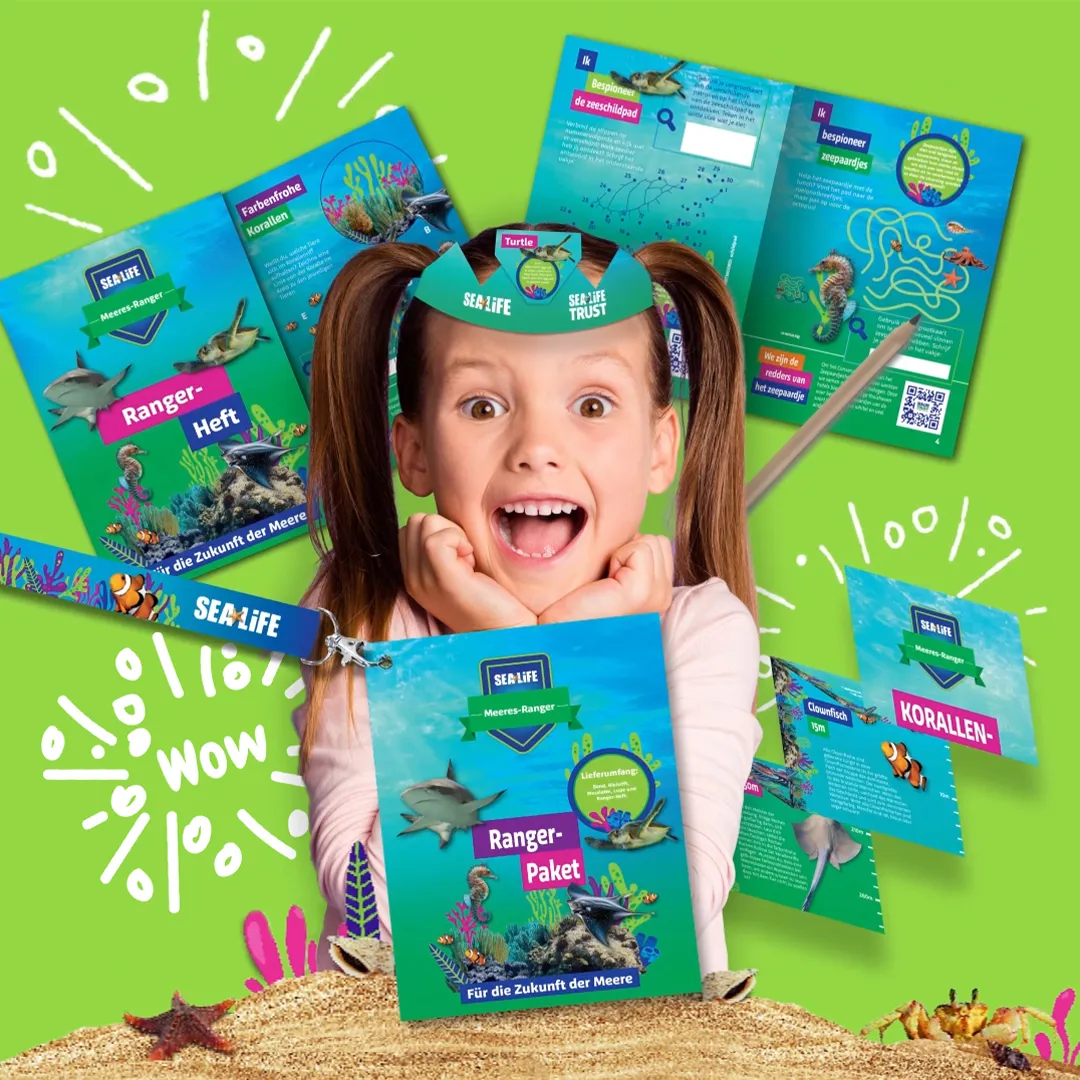 SL Activity Pack 1080X1080px Ohne Lupe