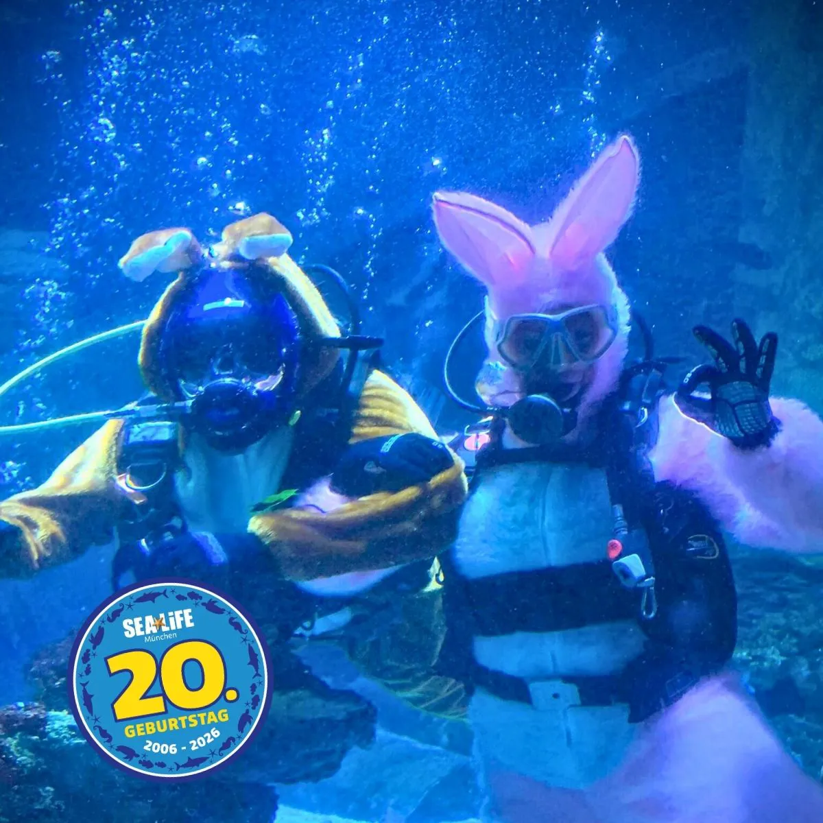 Ostern PMAX Photo 1200 X 1200 Taucher