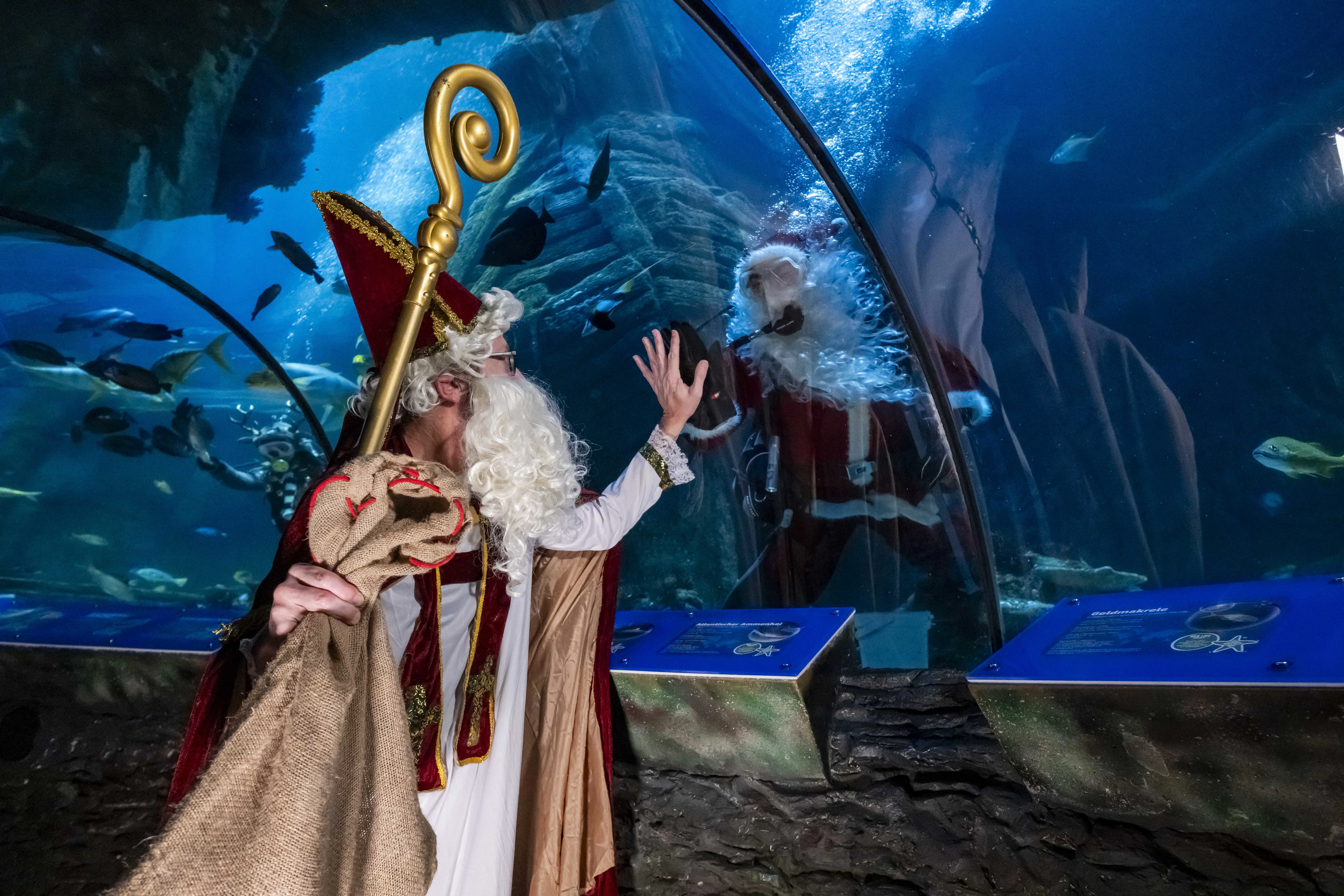 Nikolaus Sealife 143[1]