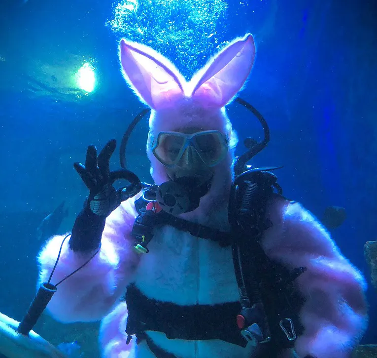 Tauchender Osterhase Klein