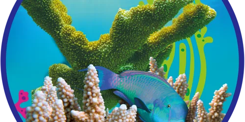 SL Conservation Round Coral 1000X1000px