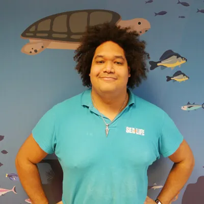 Online Mitarbeiter Profil Sam (1)