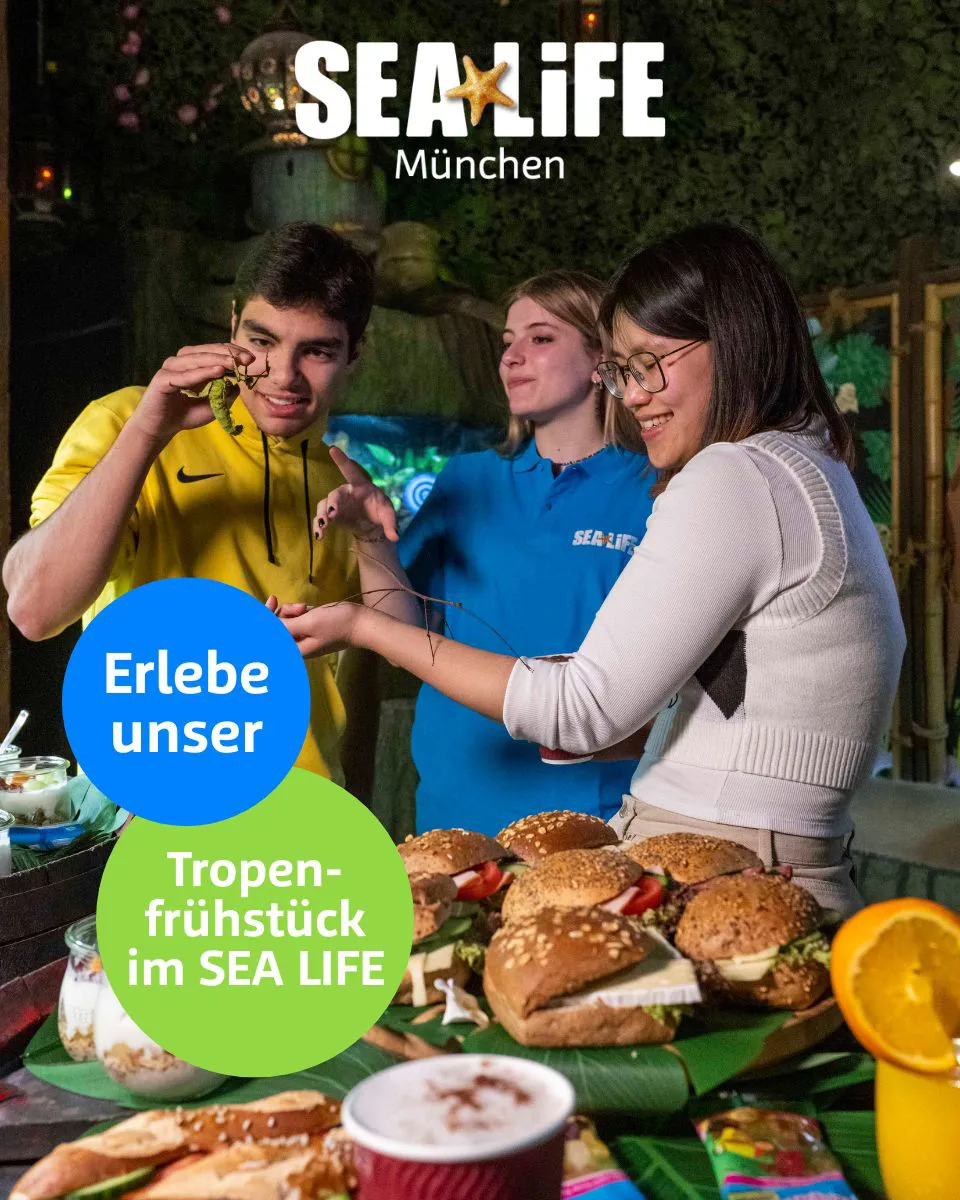 Tropenfrühstück 2026 (1)