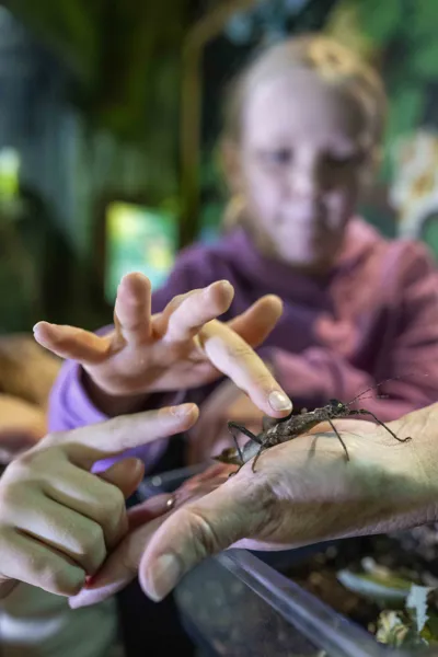 Meet & Greet Tropeninsel