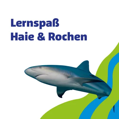 SL 960X960px Schule Lernspass Haie Rochen