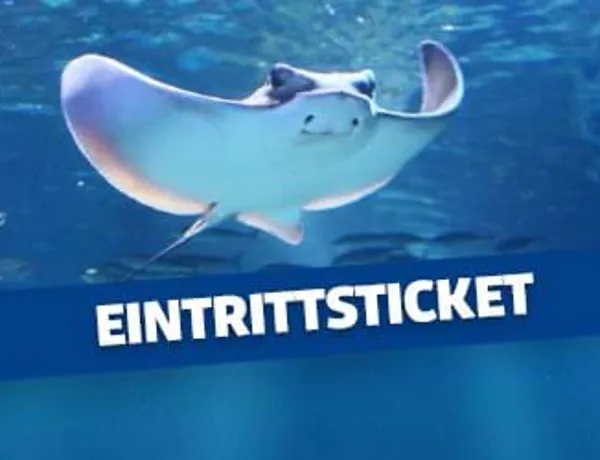 SEA LIFE Eintrittsticket