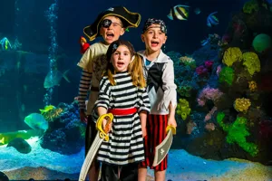 Kindergeburtstag im SEA LIFE