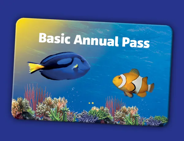 Accesso 1920X960px SL Basis EN