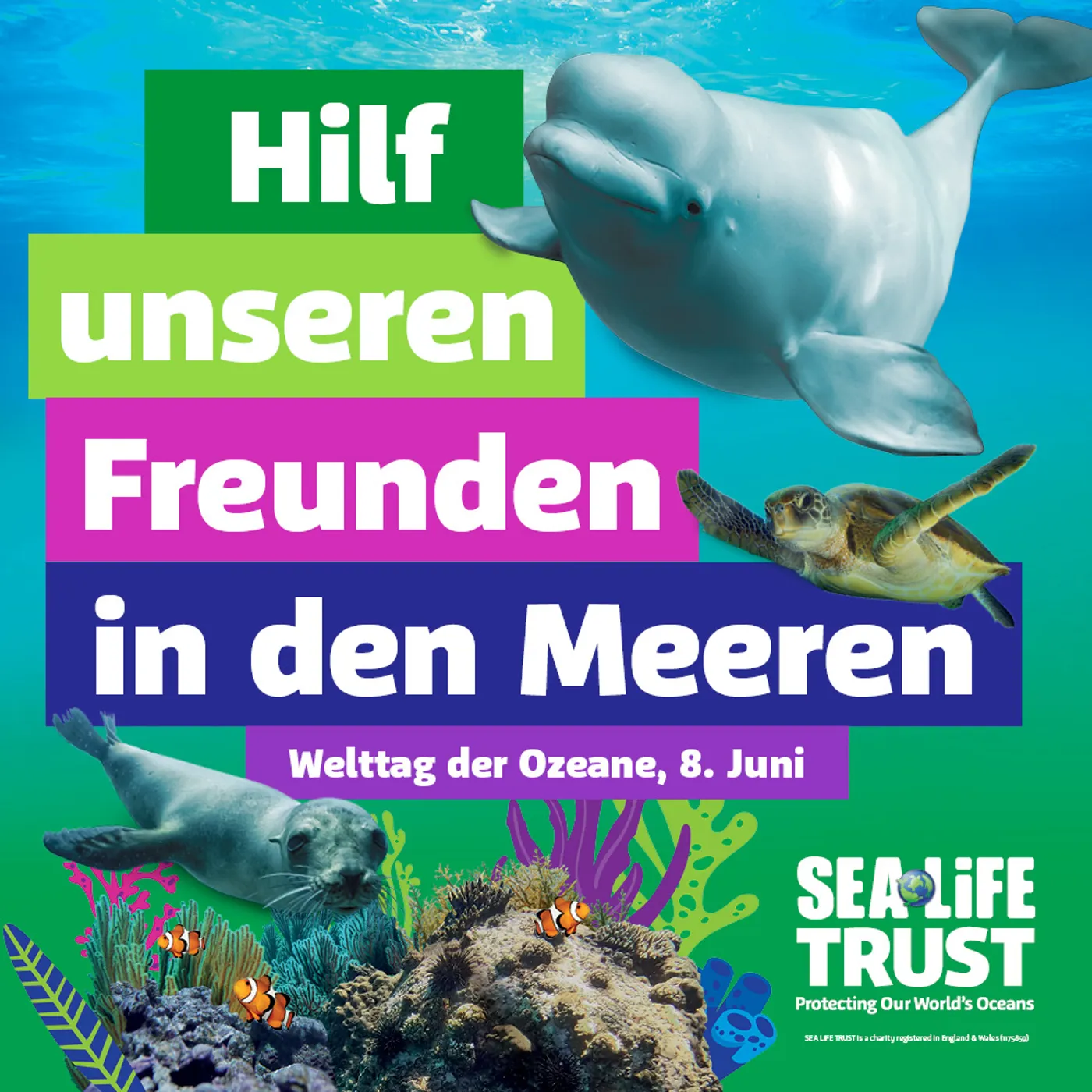 Sea Life Week SEA LIFE Munich | The aquarium directly located in Olympia Park