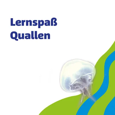 SL 960X960px Schule Lernspass Quallen
