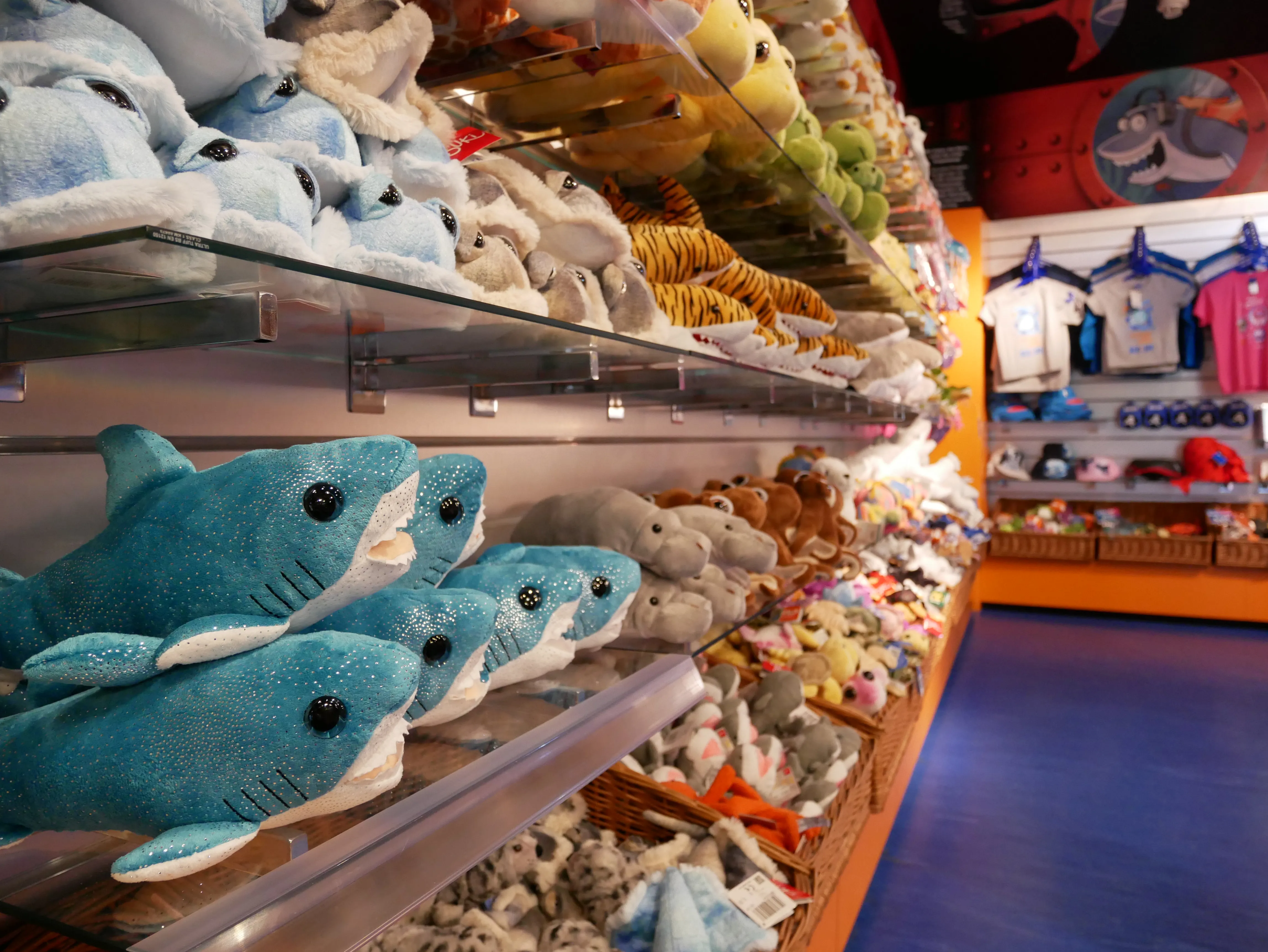 Shop (13)