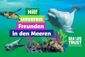 Hilf unseren Freunden in den Meeren