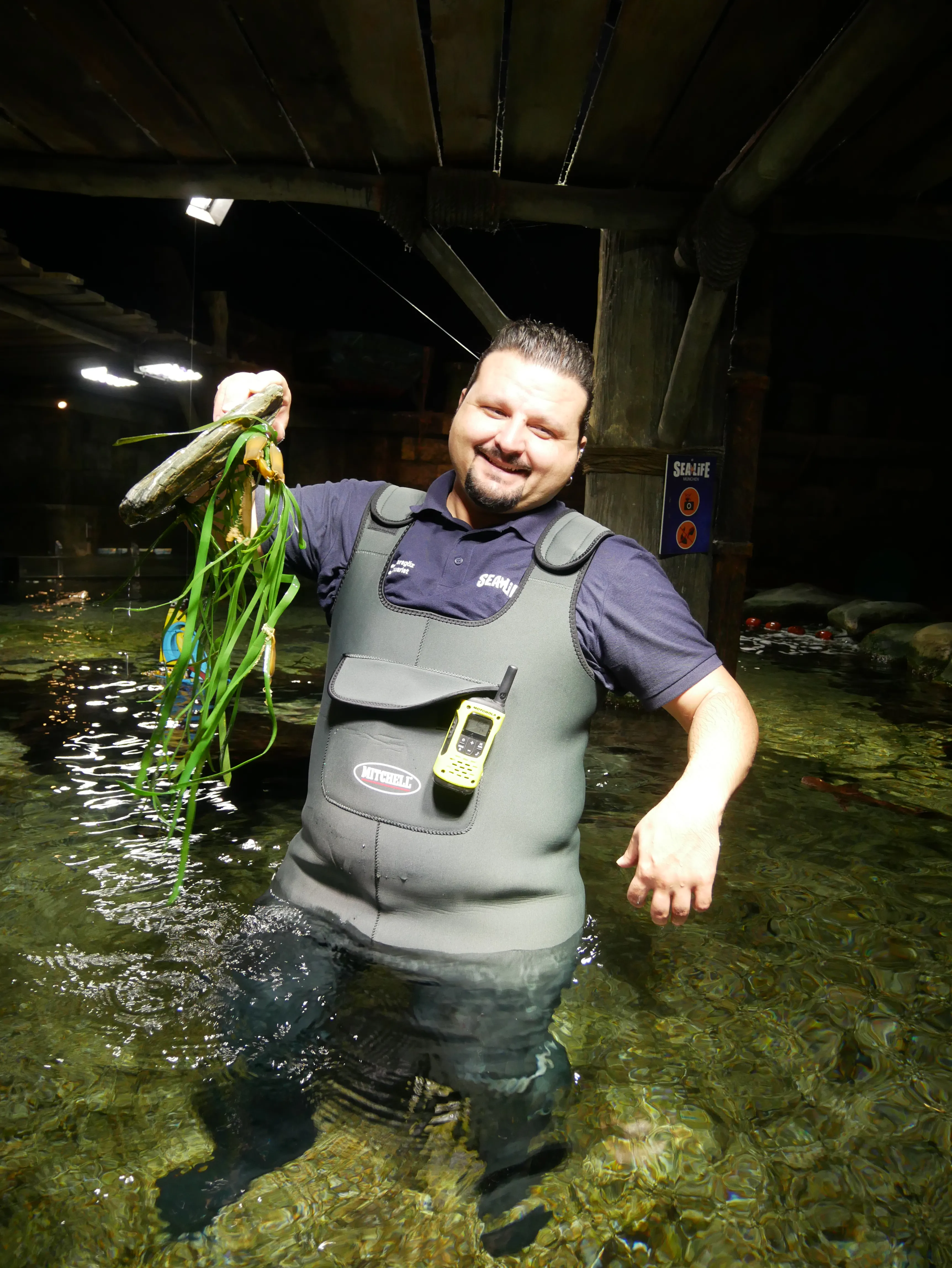 Kurator Serdar Karagöz