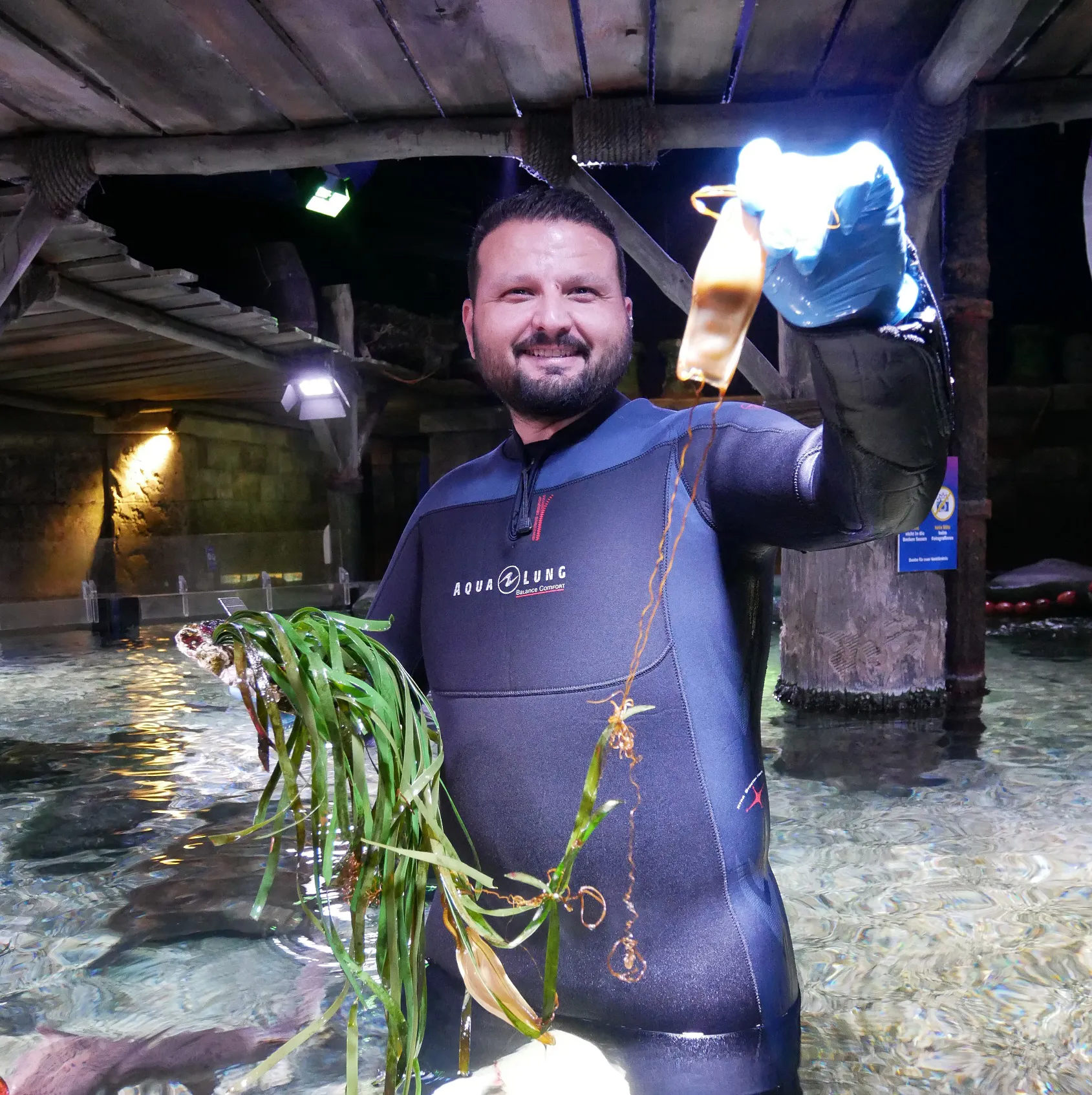 In unserem Mittelmeerhafen werden regelmäßig Haifischeier 