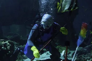 Frühjahrsputz Im SEA LIFE München I