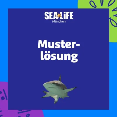 Schulworkshop Musterlösung Ansicht