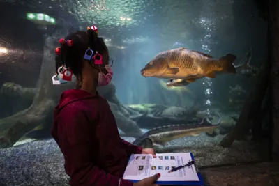 Sealife Fischinventur 024