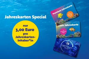 Special (700 X 500 Px)
