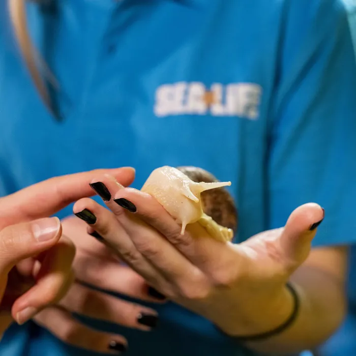 Tropisches Frühstück im SEA LIFE München