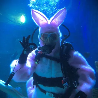 Tauchener Osterhase Im SEA LIFE München 1080X1080
