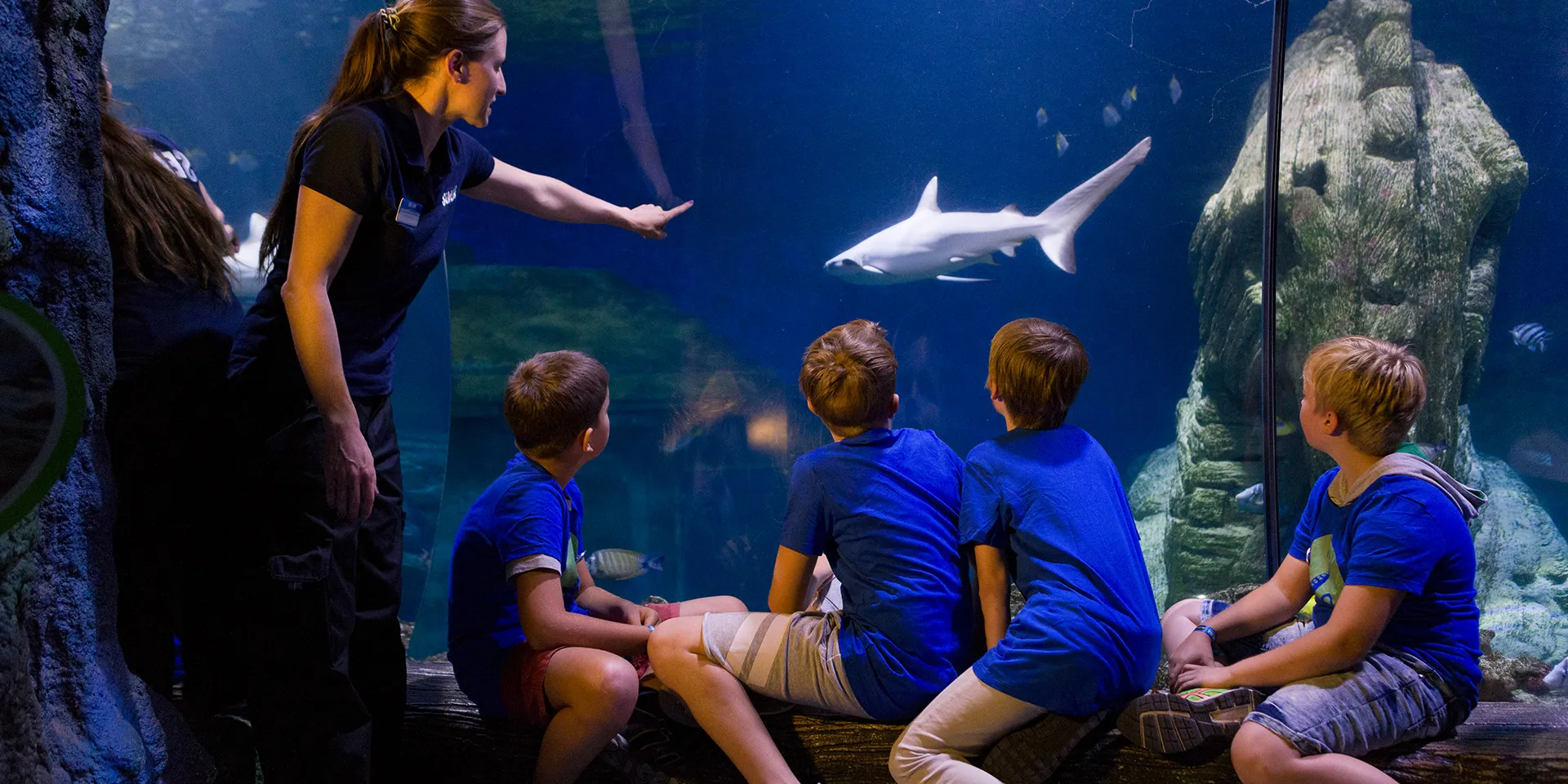 SEA LIFE München Schul Workshop 1920X960